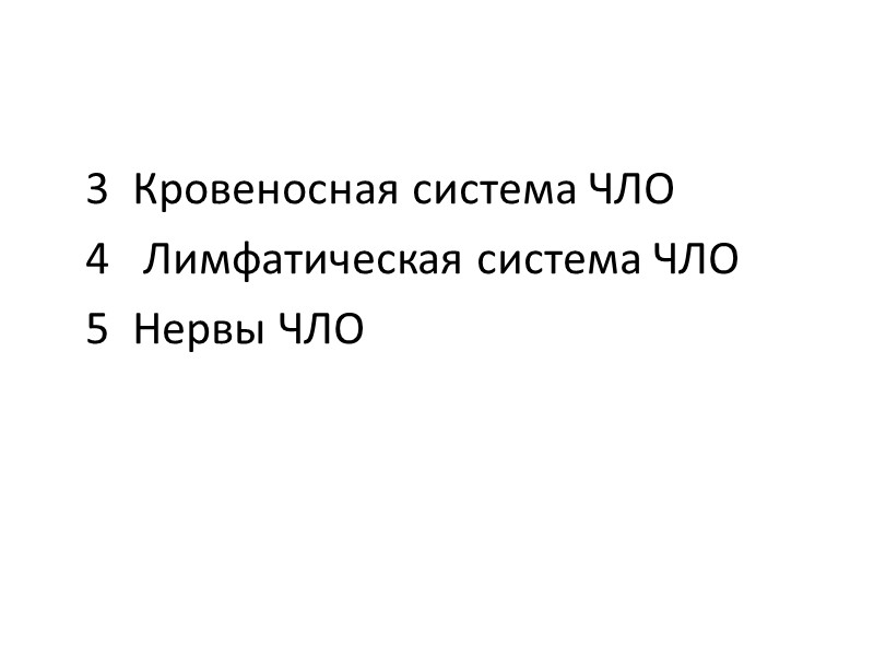 3  Кровеносная система ЧЛО    4   Лимфатическая система ЧЛО